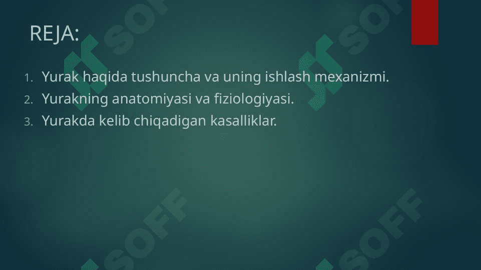 Yurakning ishlash mexanizmi va boshqarilishi 2