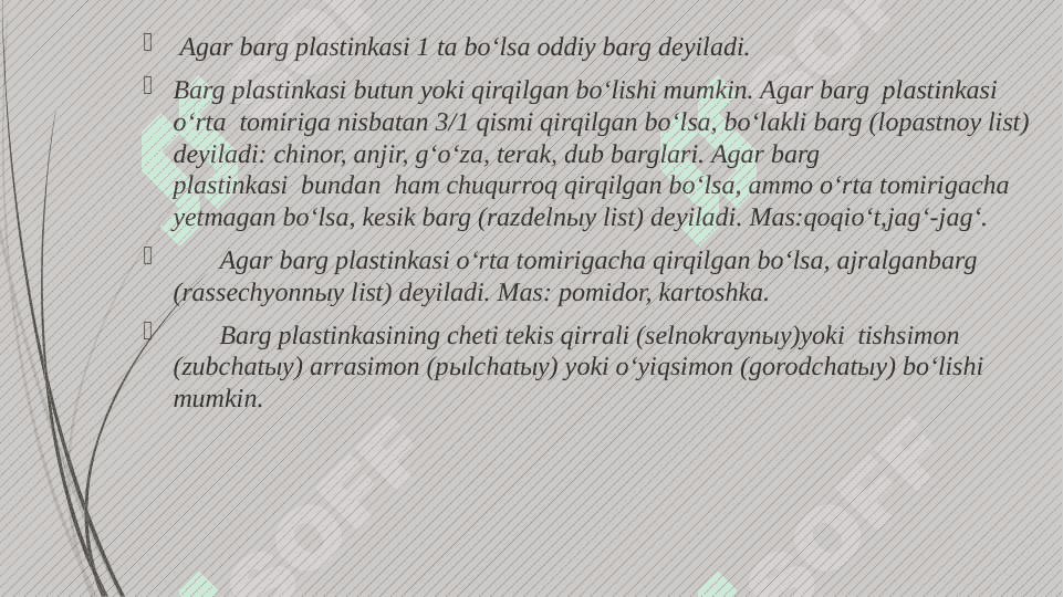 Barg metamarfozi 4