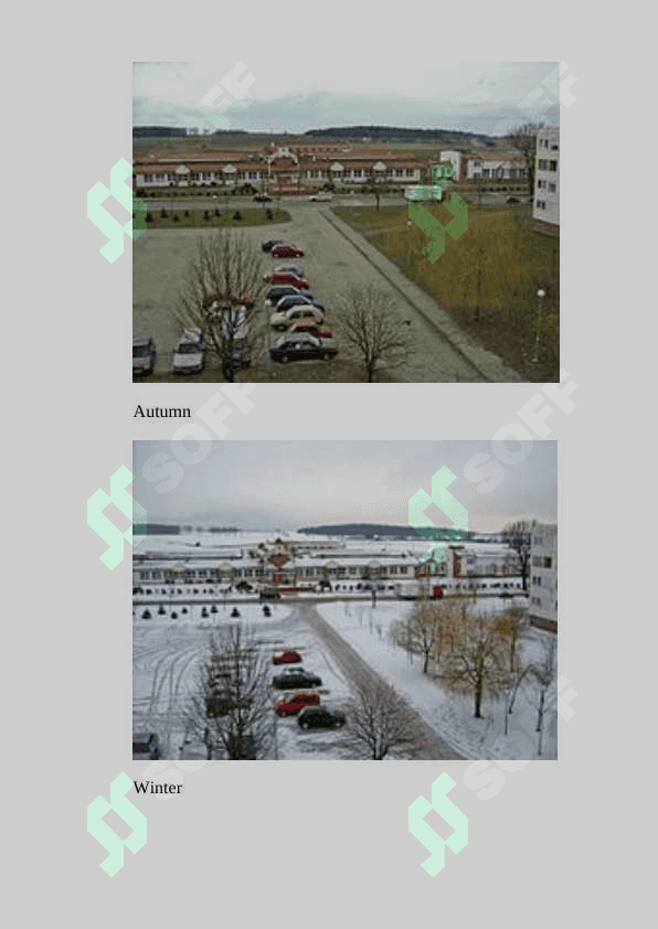 Nature and four seasons of the year 3