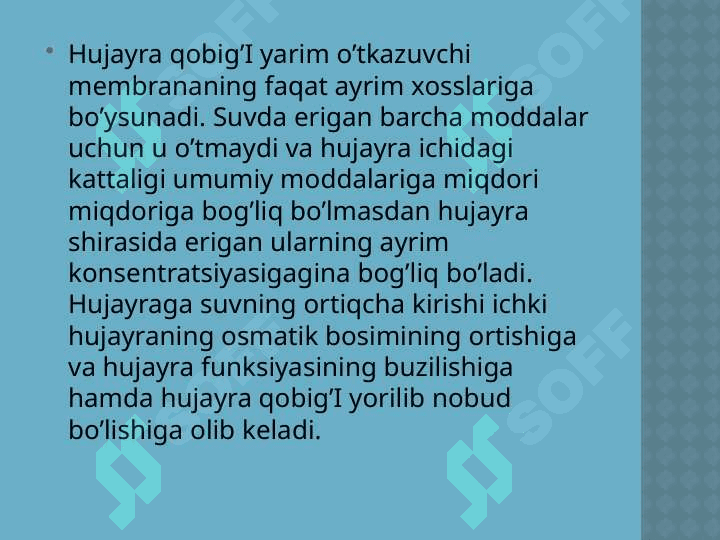 Boshlang`ich sinf o`quvchilarida tabiatshunoslik tasavvur va tushunchalarni shakllantirishda axborot texnalogiyalardan foydalanish 7