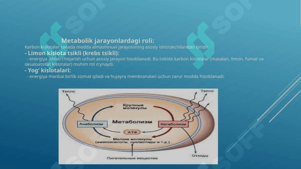 Karbon kislotalarning tibbiyotdagi ahamiyati 3