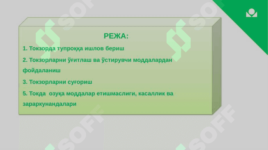 XOSILLI TOKLARNI PARVARISHLASH AGROTEXNIKASI 2