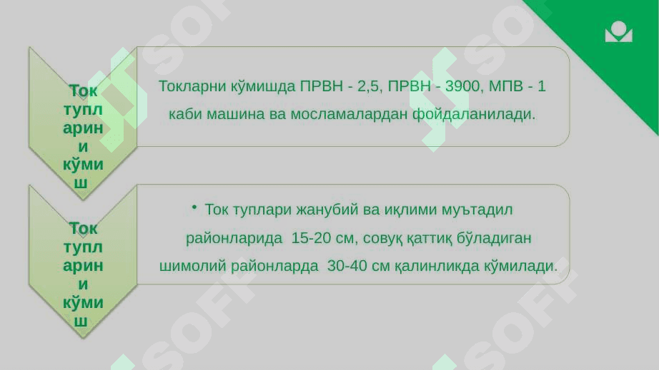 XOSILLI TOKLARNI PARVARISHLASH AGROTEXNIKASI 5