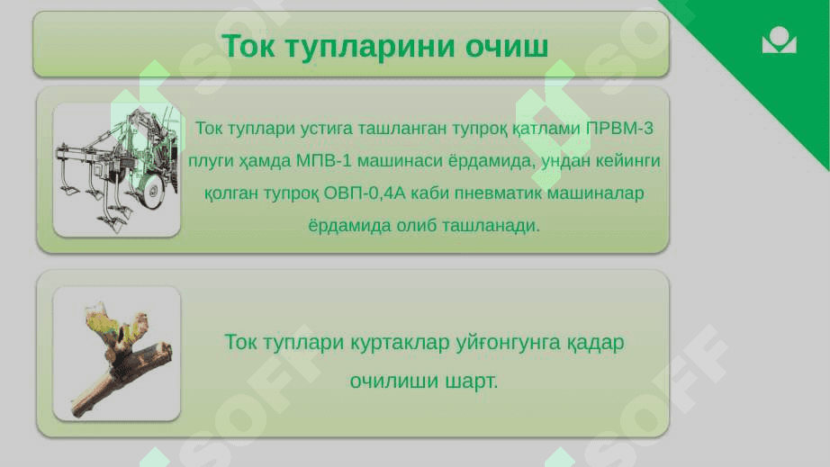 XOSILLI TOKLARNI PARVARISHLASH AGROTEXNIKASI 7