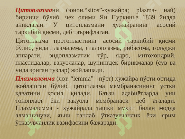 O'simlik to'qimalari 6