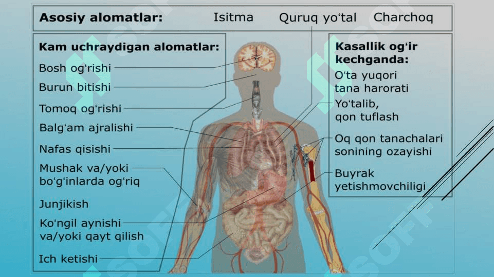 Koronavirus infeksiyasi 6