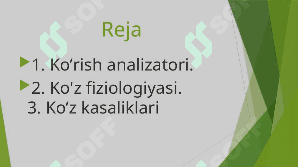 Ko'z 2