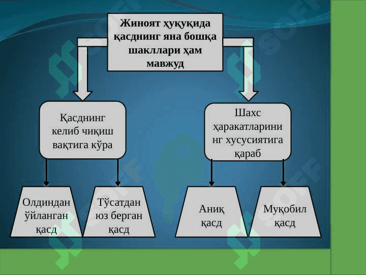 Jinoyat sub'ekti va sub'ektiv tomoni 7