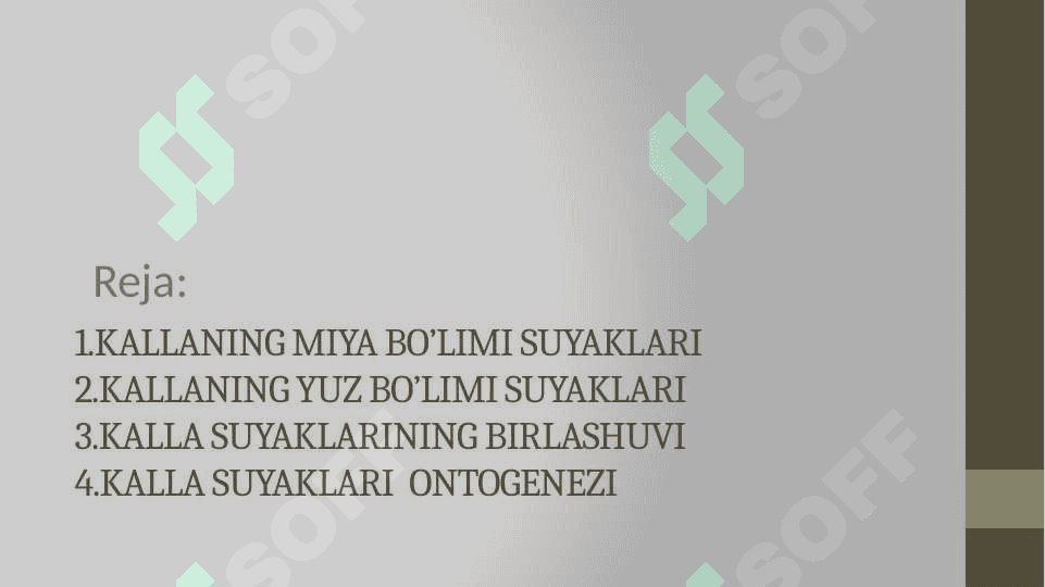 Bosh skeletining tuzilishi va o’zaro birikuvi 3