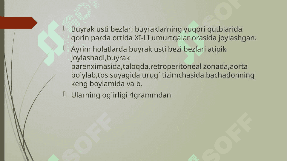 BUYRAK USTI BEZI, OSHQOZONOSTI BEZINING TUZILISHI, FIZIOLOGIYASI VA BOSHQARILISHI 4