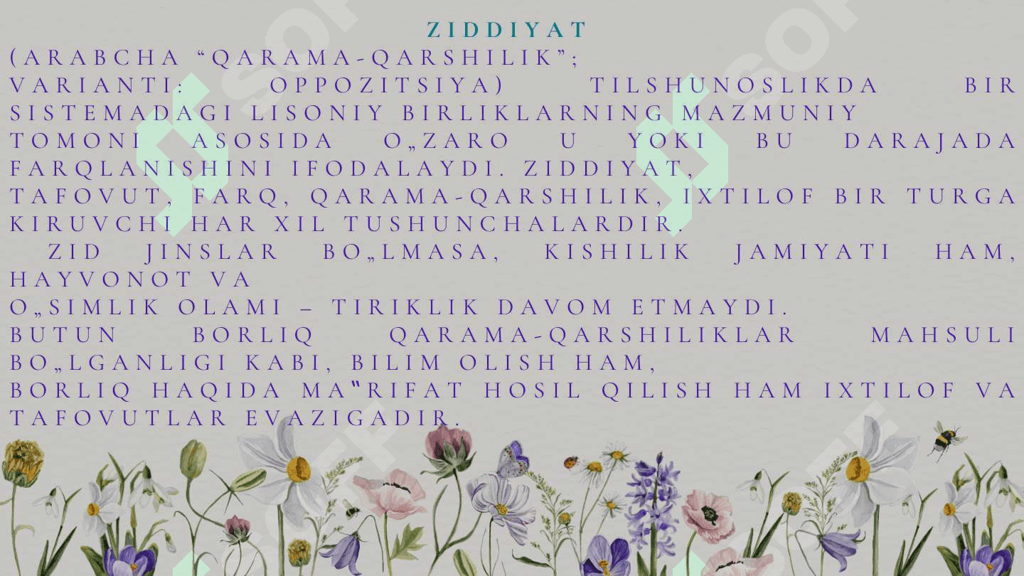 Lisoniy ziddiyat va uning turlari 2