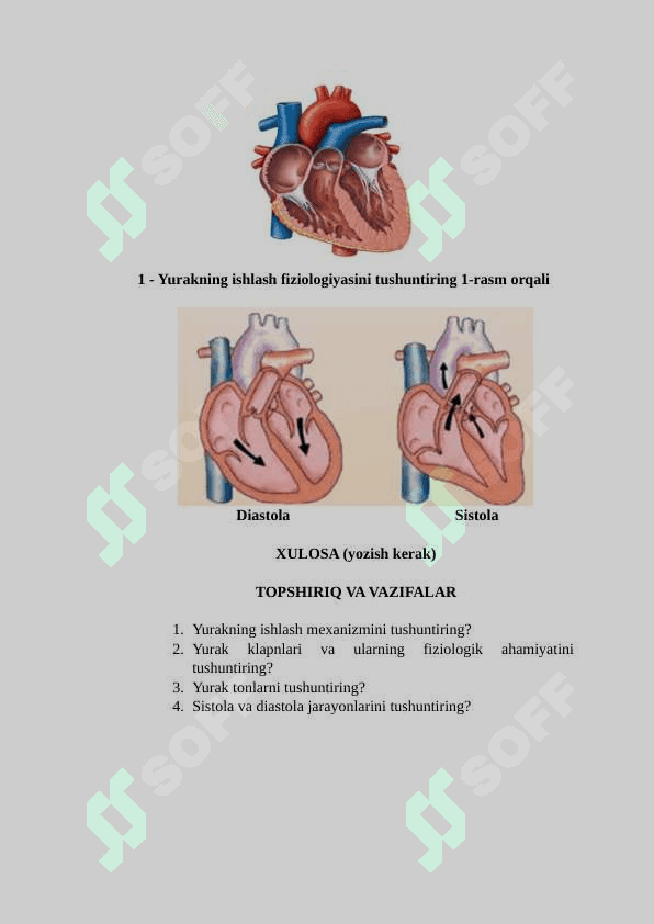 YURAK FIZIOLOGIYASI VA YURAKNING O‘ZIGA XOS FIZIOLOGIK XUSUSIYATLARINI O‘RGANISH 2