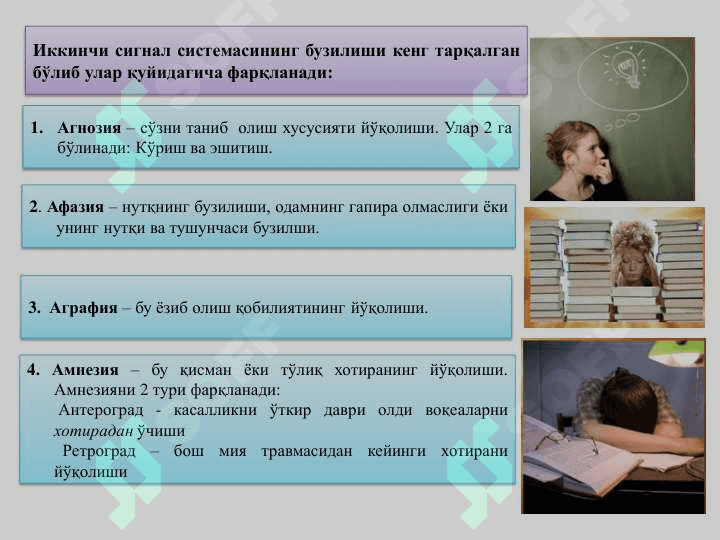 Олий нерв фаолиятининг ѐшга  оид  хусусиятлари 6