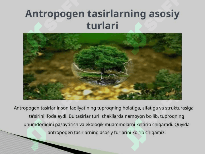Tuproqga antiropogen tasir turlari.pptx 4