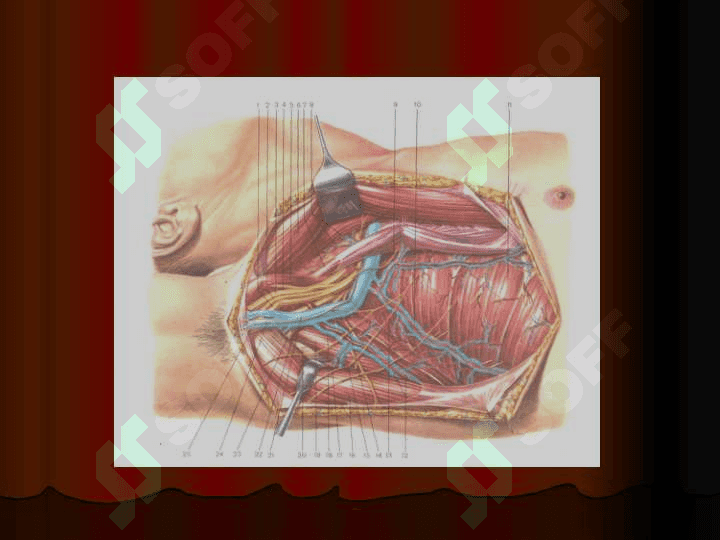 Qoʻlning topografik anatomiyasi. qon tomirlarida operasiyalar 7
