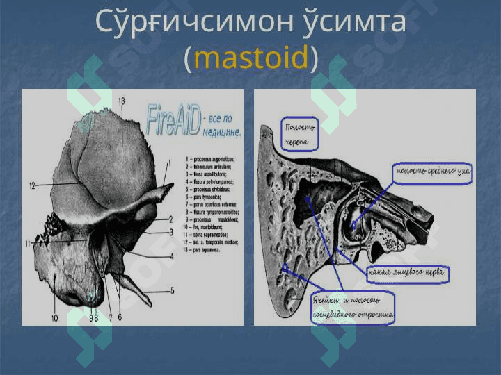 Tashqi va oʻrta quloqning oʻtkir va surunkali yalligʻlanish kasalliklari 8