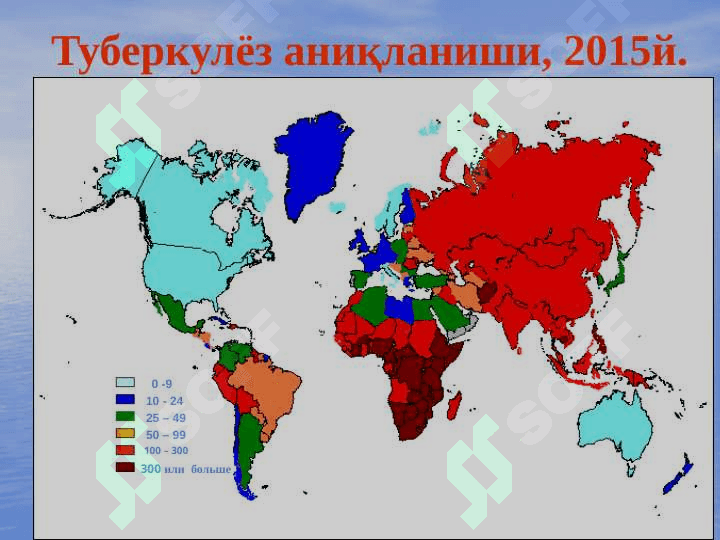 Tuberkulyoz epidemiologiyasi,  patogenezi va immunitet fenomenlari 8