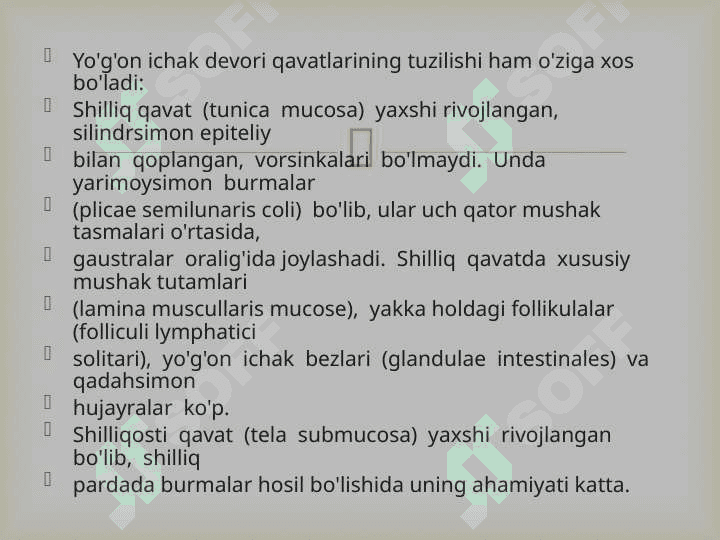 Yo’g’on ichak va uning yoshga qarab o’zgarishi 8
