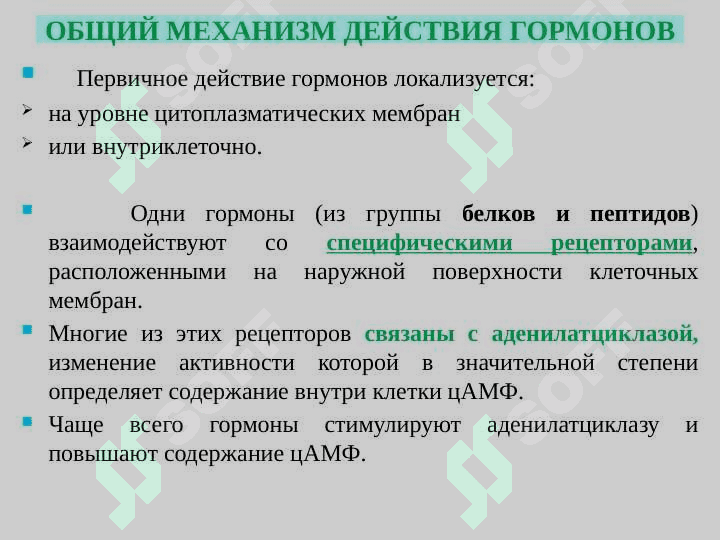 Средства, влияющие на обмен веществ 5