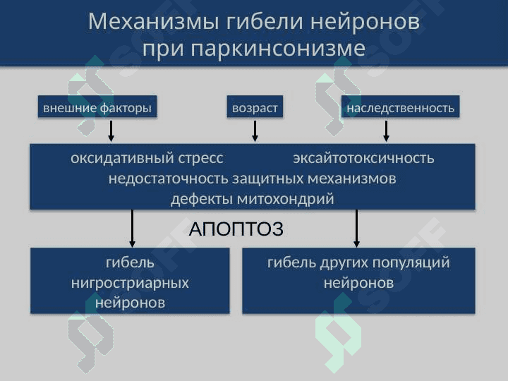 Центральный и периферический параличи, экстрапирамидные расстройства 8