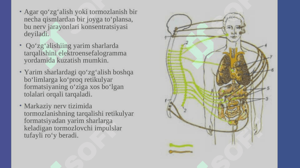 NERV JARAYONLARI DINAMIKASI NERV JARAYONLARI TA'SIR ETUVCHI ZARARLI OMILLAR VA PATALOGIYADAGI HOLATI TEKSHIRISH USULLARI VA TIBBIY CHORALARI. 3