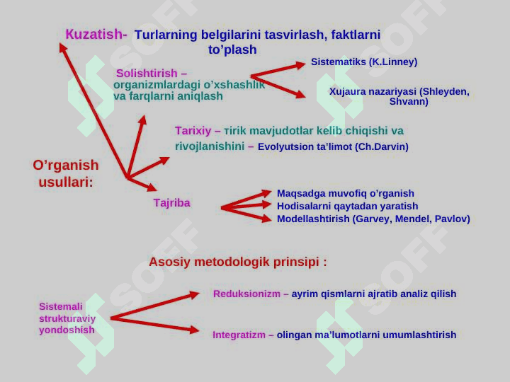 Tibbiy ta’lim sistemasida biologiyaning tutgan o‘rni. Tibbiy biologiya faniga kirish . 4