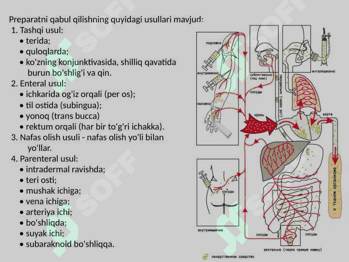 Dori vositalarini qoʼllash usullari. Tashqi, enteral va parenteral kiritiladigan dori vositalarini boʼlimda saqlash 2
