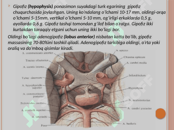 Ekzokrin va endokrin azolar haqida tushuncha 7
