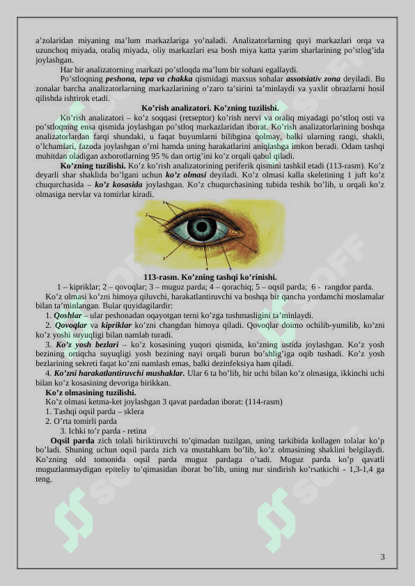 Odam tanasining analizatorlari 3