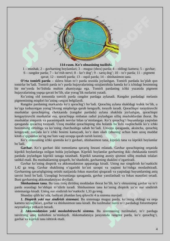 Odam tanasining analizatorlari 4