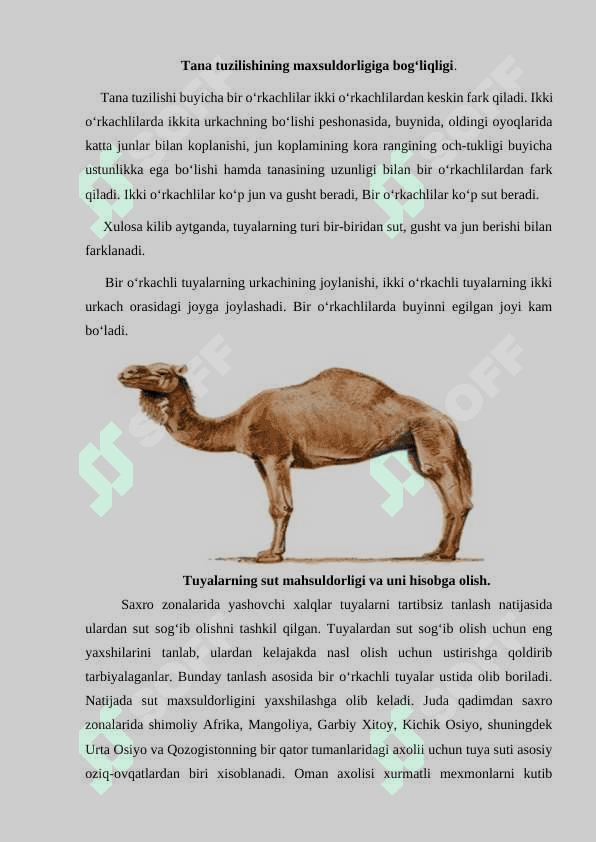 Tuyalarning sut va go’sht mahsuldorligi 2
