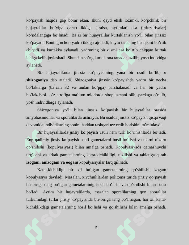 UMIRTQASIZ HAYVONLAR KELIB CHIQISHIDA FILOGENETIK BOG‘LIQLIGI 5