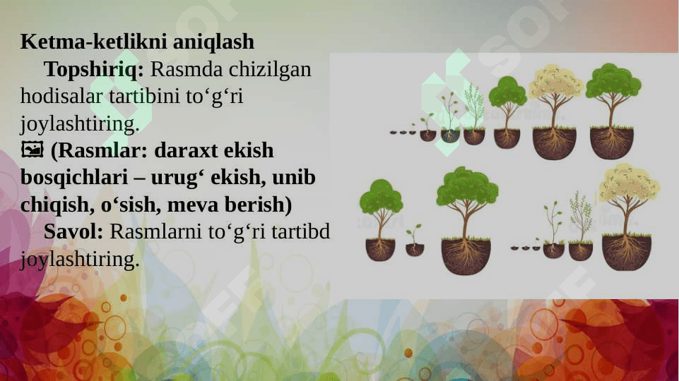 Aqliy harakatlar intelektual faoliyatning egallanishi 8