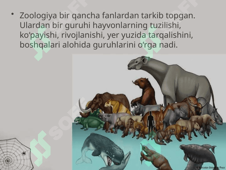 zoologiya-fani-va-uning-vazifalari-7-sinf 3