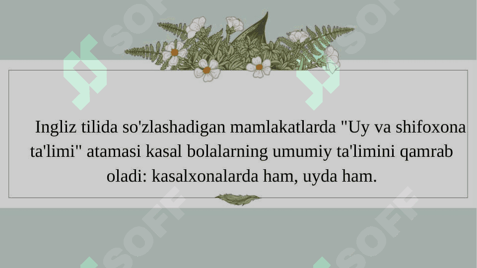 Xorijiy mamlakatlarda gospital pedagogikaning huquqiy asoslarini xalqaro hujjatlarda 6