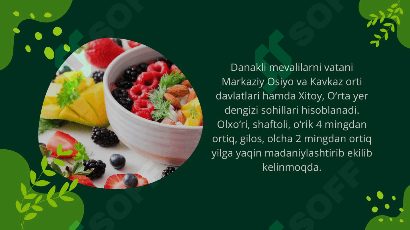 MEVALI EKINLARNI DANAGINI MORFOBIOLOGIK TUZILISHI 8