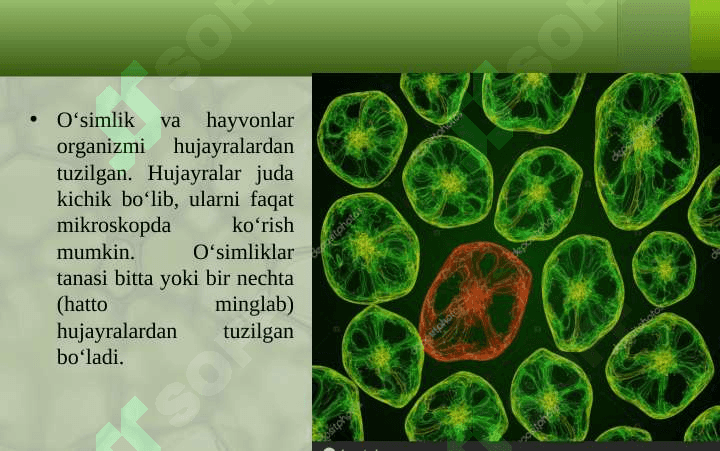 HUJAYRA VA UNING TARKIBIY QISMLARI 3