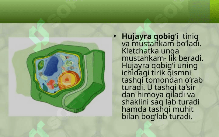 HUJAYRA VA UNING TARKIBIY QISMLARI 7