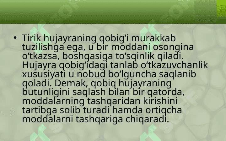 HUJAYRA VA UNING TARKIBIY QISMLARI 8
