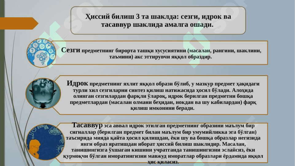 Мантиқ илмининг  предмети, асосий қонунлари. Тушунча  Тафаккур  шакли  cифатида 5