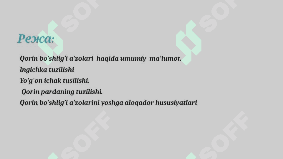 lngichka va yo'g'on ichak. Qorin pardaning tuzilishi. 2