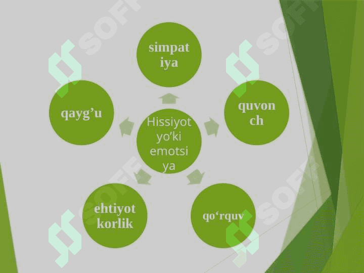 Hissiyot 4