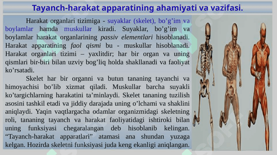 TAYNCH HARAKAT APPARATINING YOSH XUSUSIYATLARI VA GIGIENASI 2