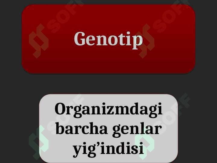 Mendel qonunlari 8