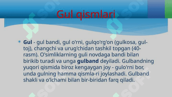 GUL - O'SIMLIKLARNING GENERATIV KO'PAYISH ORGANI 5