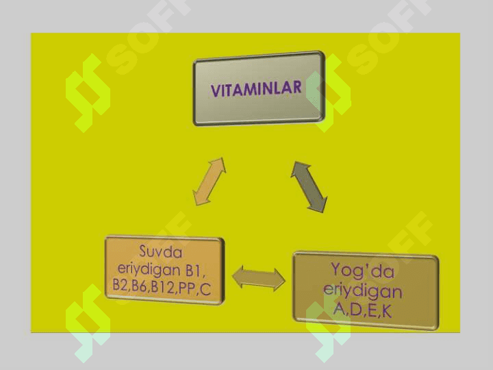 VITAMINLAR  VA ULARNING  AHAMIYATI 6