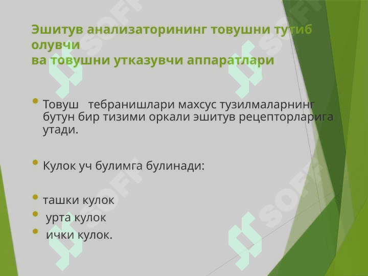 ESHITUV VA VESTIBULAR ANALIZATORLARNING FAOLIY TAVSIFI 2