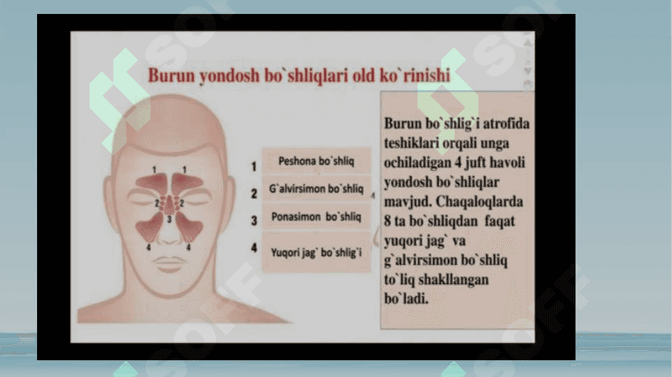 Otorinolaringologik kasalliklari bilan og‘rigan bemorlarni tekshirish usullari. 2