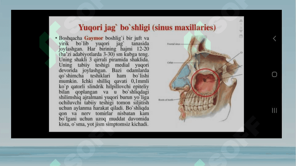 Otorinolaringologik kasalliklari bilan og‘rigan bemorlarni tekshirish usullari. 4