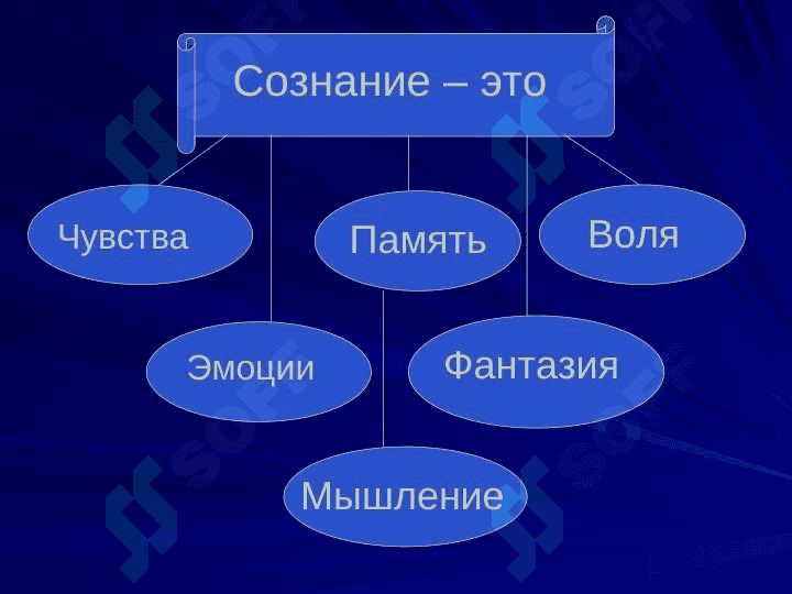 Сущность и структура сознания. Проблема бессознательного 8